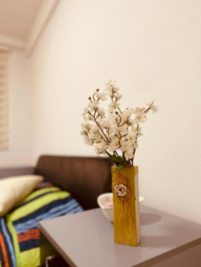 casa Felice